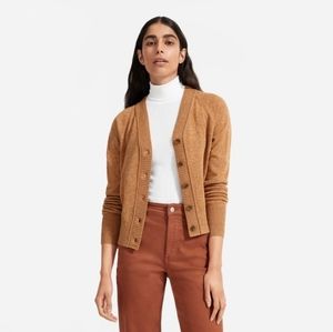 everlane varsity cashmere cardigan in spiced chai